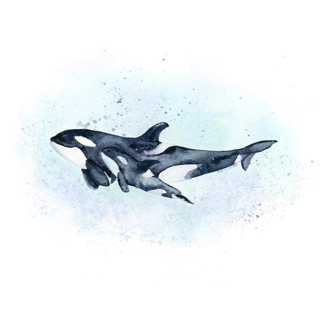 Mom and Baby Orca Whale Watercolor Print, Killer Whale [...]