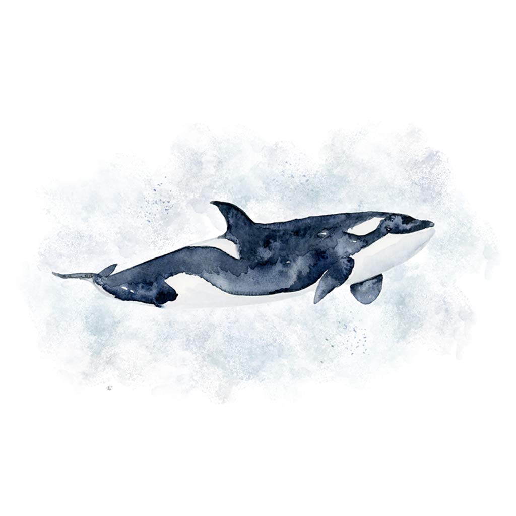 Killer Whale Watercolor Print, Orca Painting, Ocean [...]