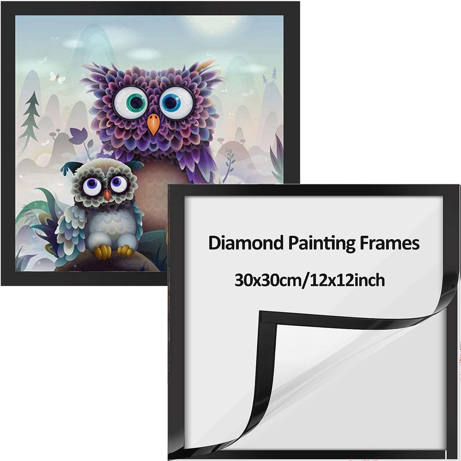 RICUVED 2 Pack Diamond Painting Frames, Frames for [...]