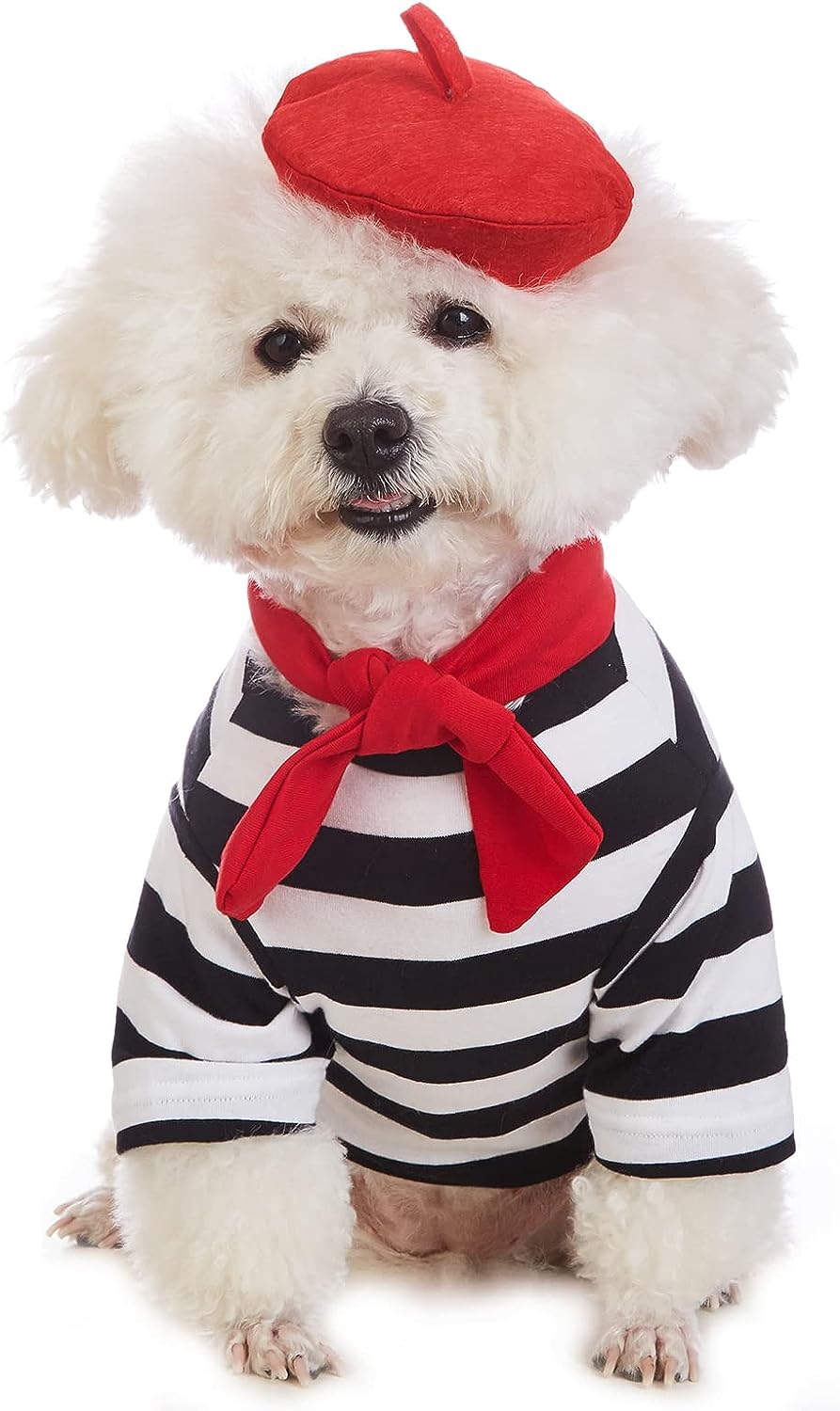 Coomour Artist Dog Costume with Funny Hat Painter Pet [...]