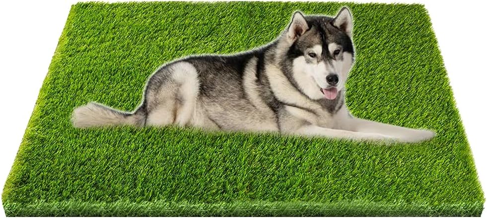 Artificial Grass, Professional Dog Grass Mat, Potty [...]