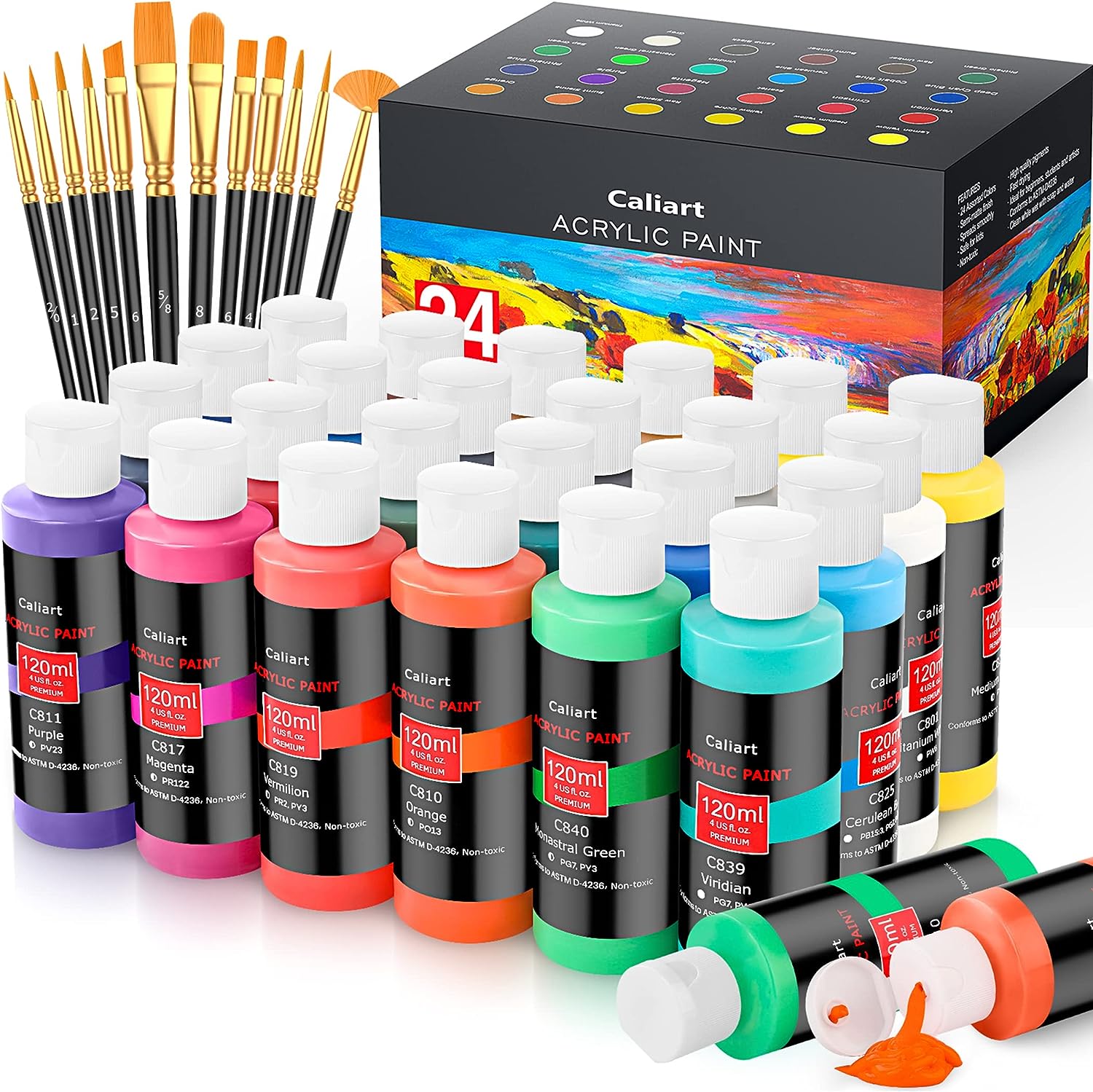 Caliart Acrylic Paint Set With 12 Brushes, 24 Colors [...]