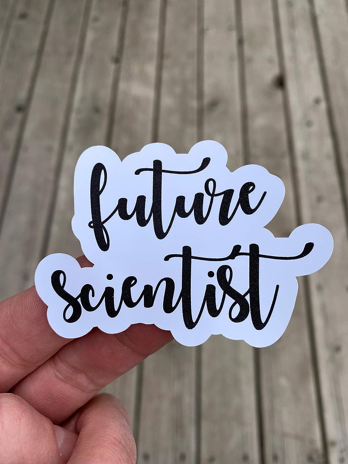 Future Scientist Sticker, Laptop Sticker, Water Bottle [...]