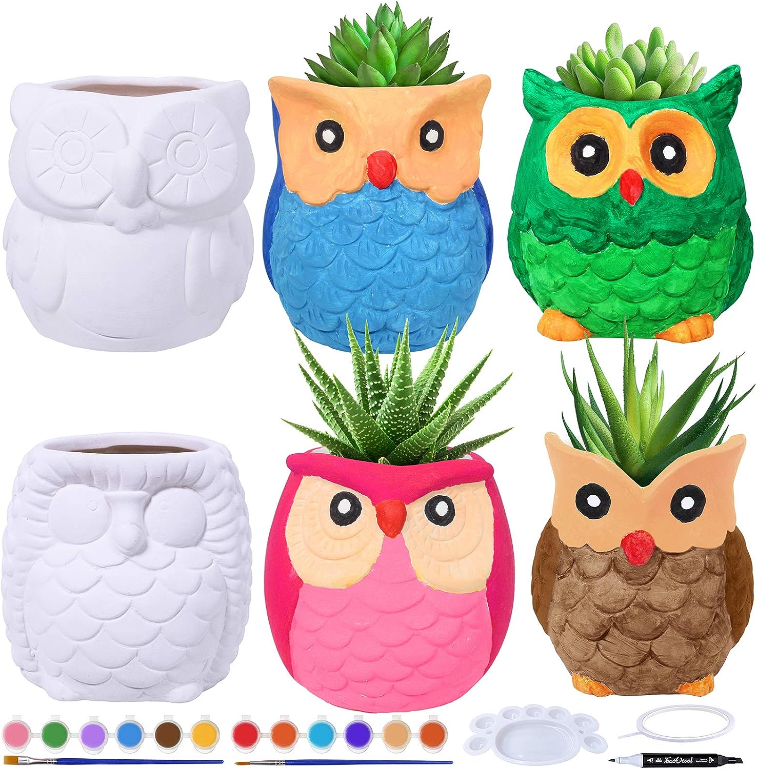 6 Sets DIY Ceramic Owl Succulent Pots Figurines Paint [...]