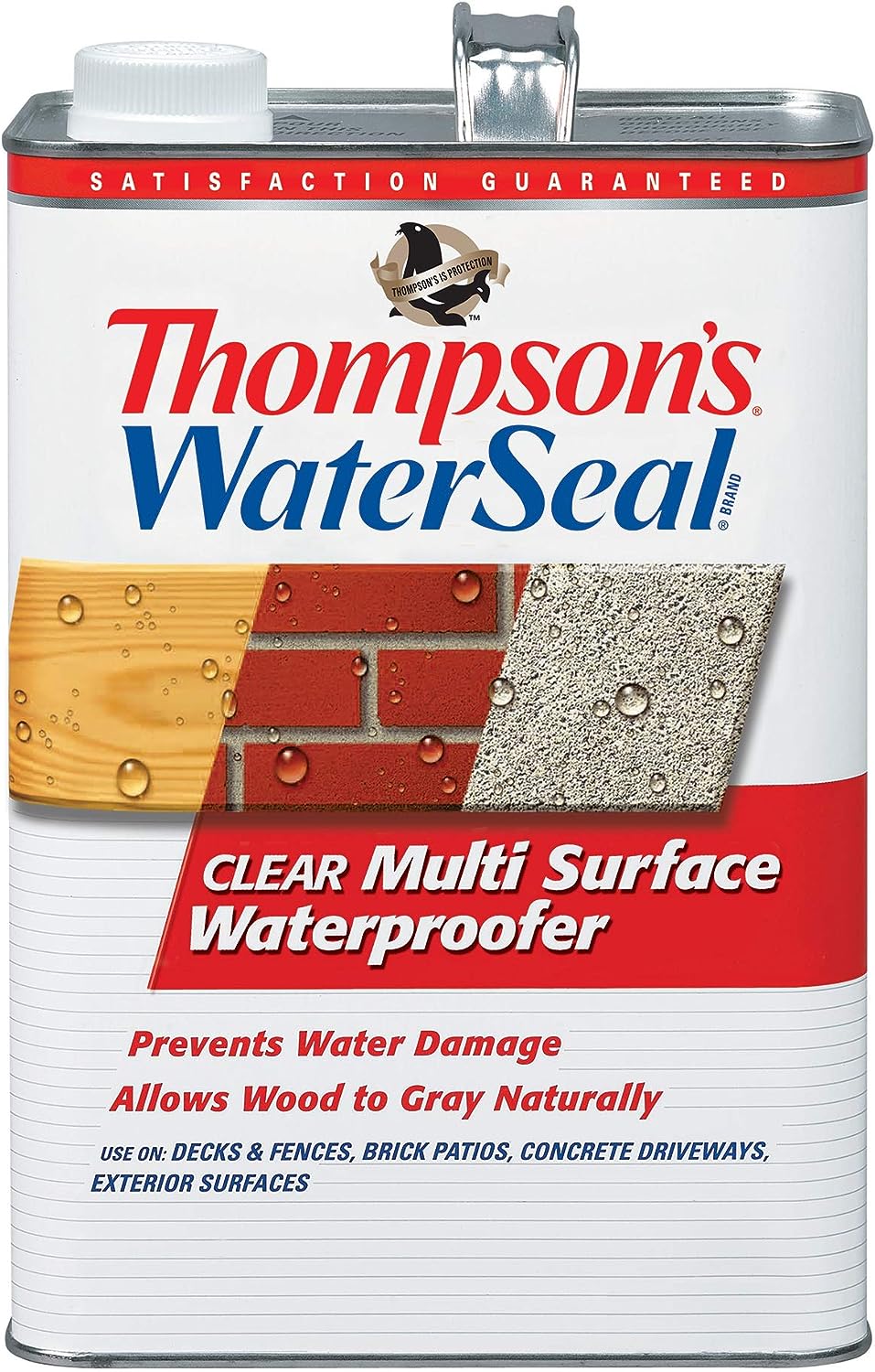 Thompson's WaterSeal TH.024101-16 Multi-Surface [...]