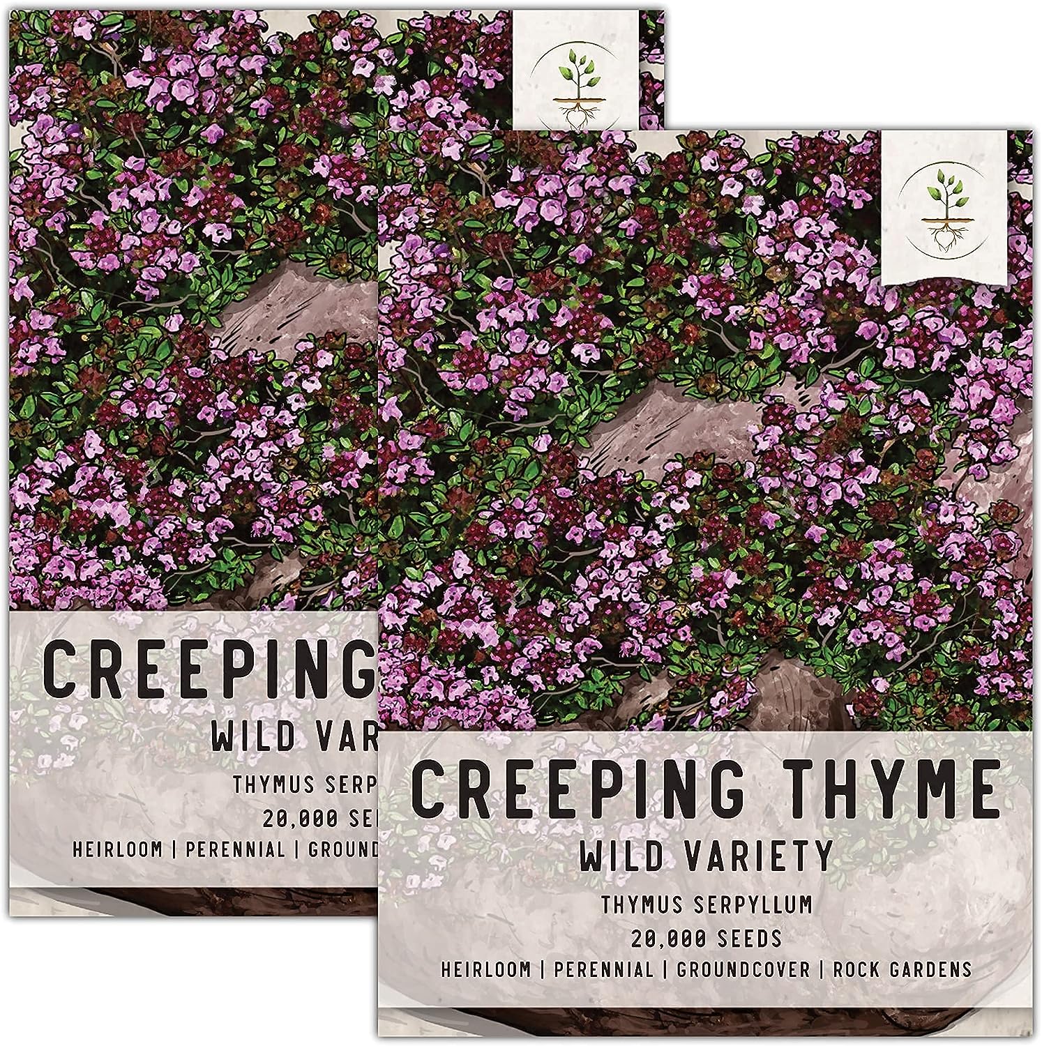 Seed Needs, Wild Creeping Thyme Seeds for Planting [...]