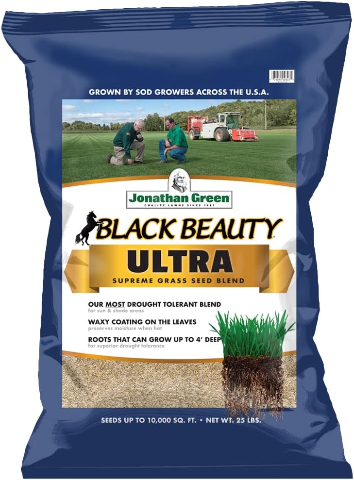 grass seed for new lawn detailed review