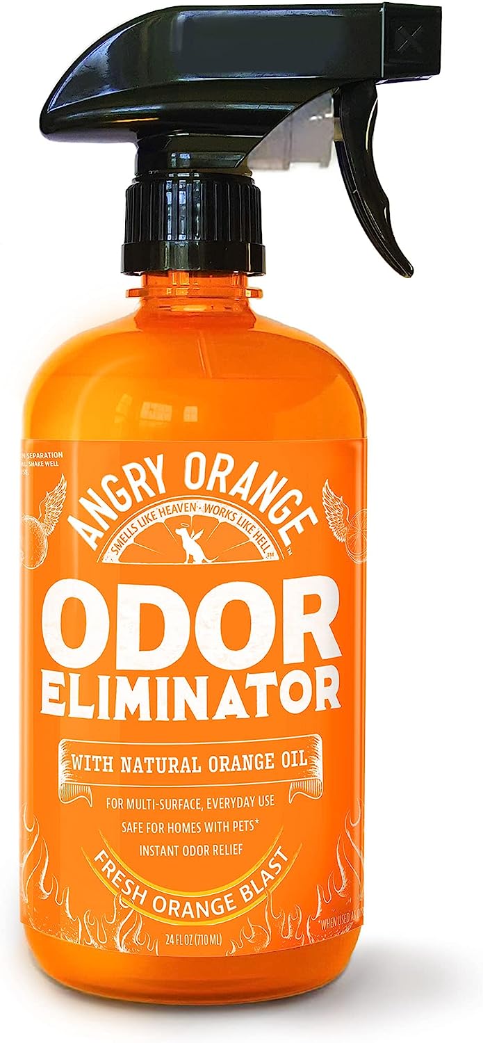 best odor eliminator for home