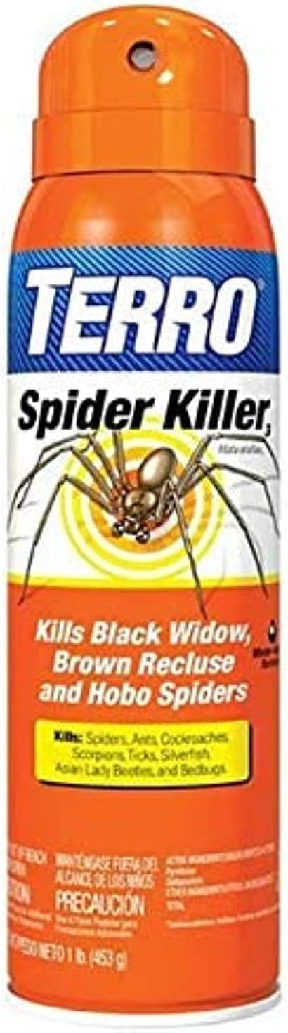 best outdoor spider spray