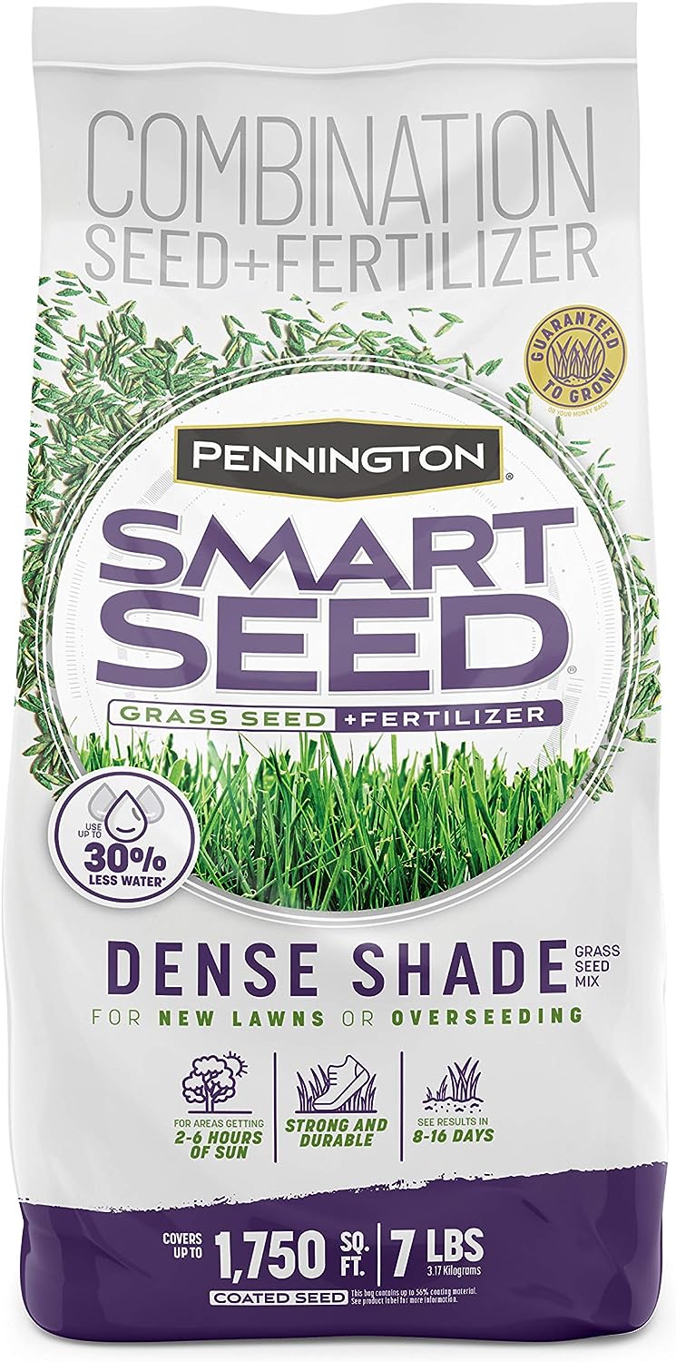 grass for full shade detailed review