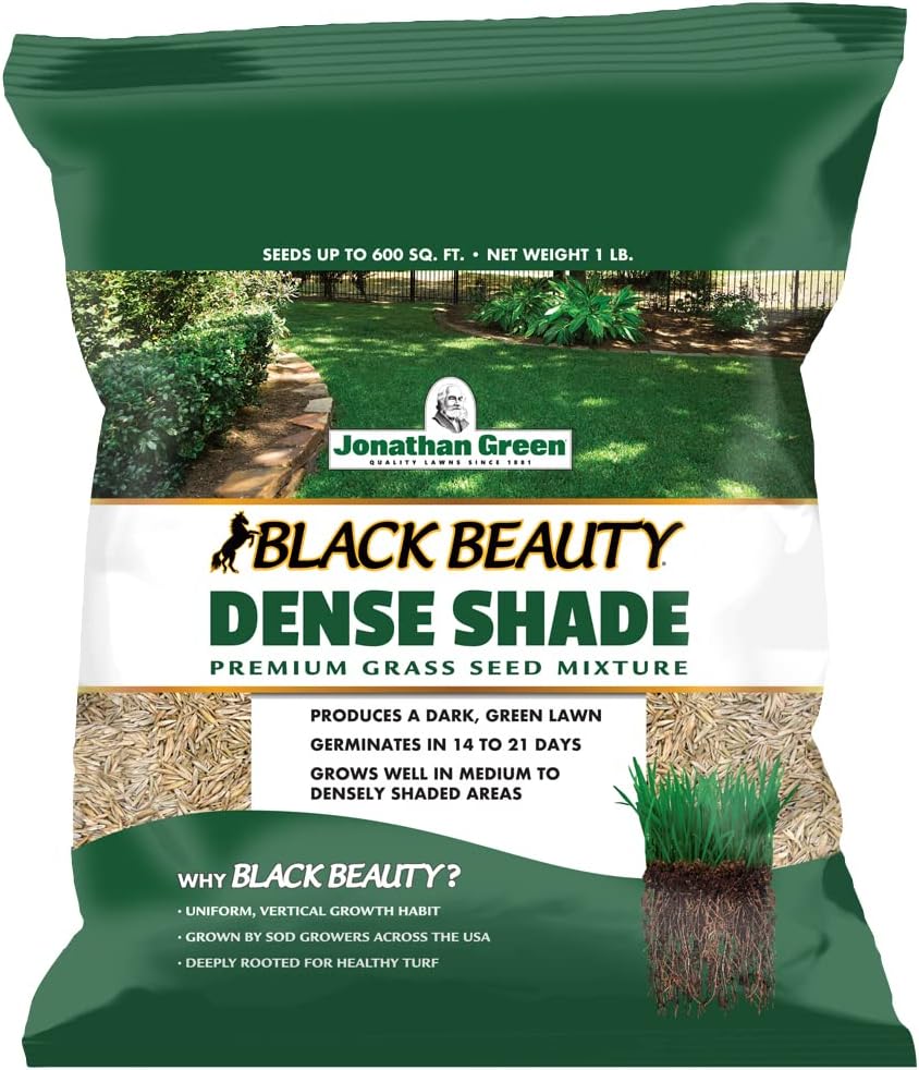 grass for shady area detailed review